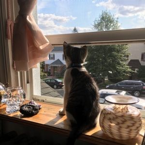 Meet your Posher, Erica